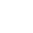 Security & Bug Resolution