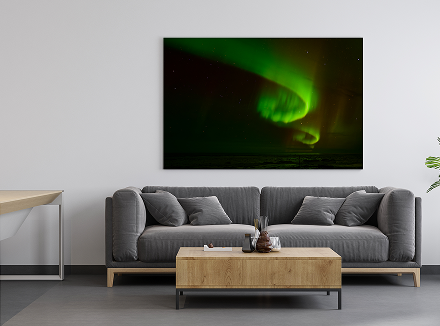 The northern cardinal 15