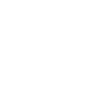 Data Audit
