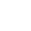 Data Migration & Verification