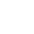 Hallucination & Accuracy Testing