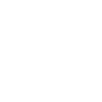 Industry Visual Audit