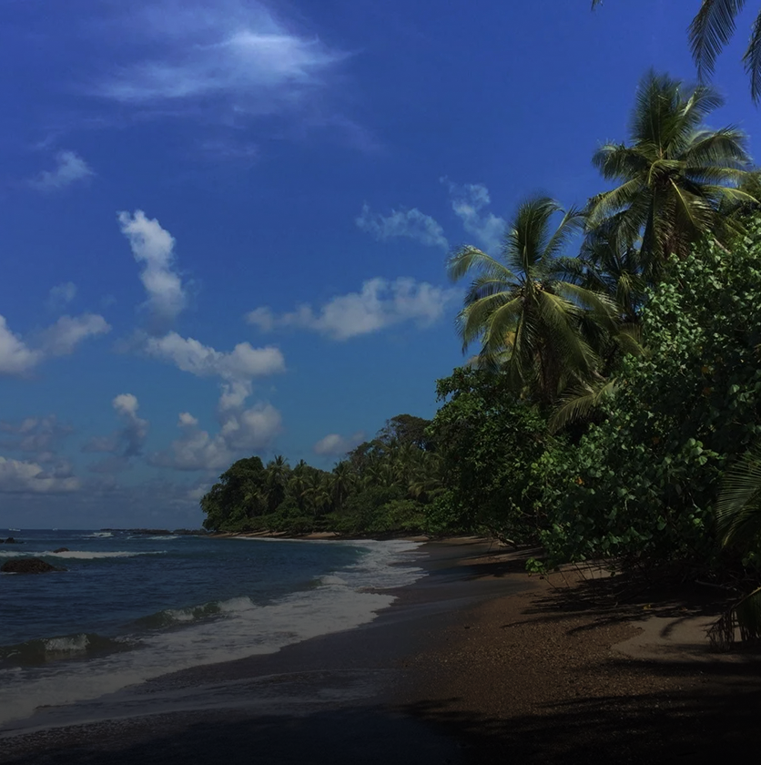 Corcovado Park Hiking